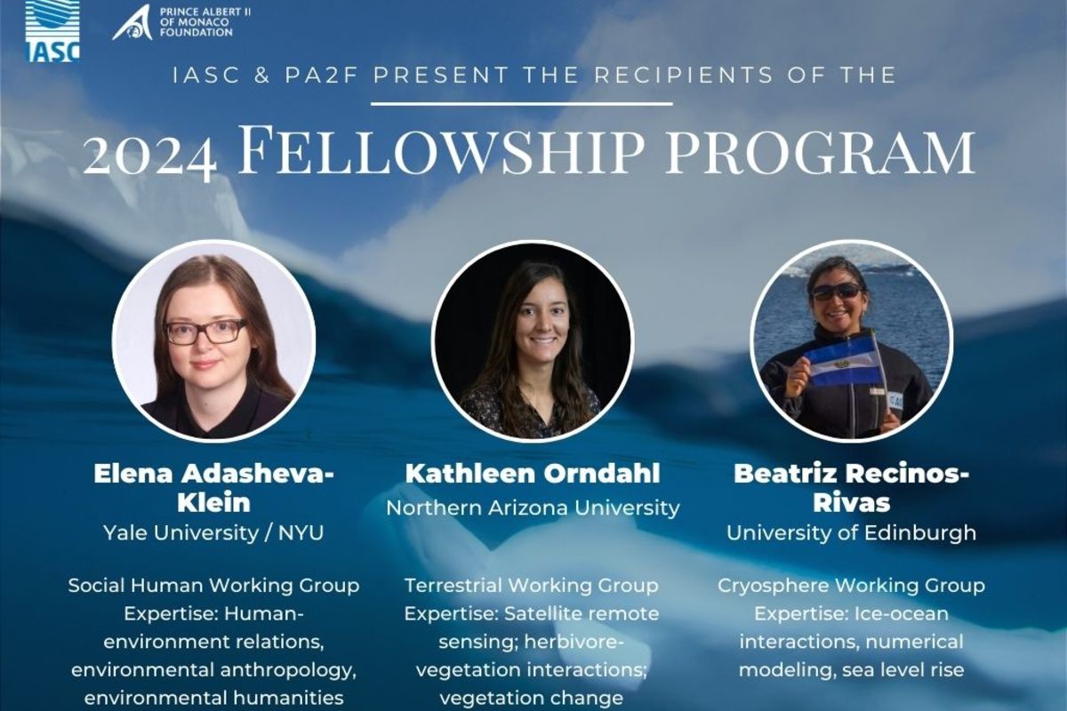 Unveiling the 2024 IASC-PA2F Fellowship Program Awardees